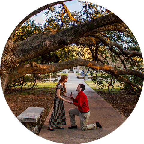Engagment centennial tree photo, Geneva couple, engagement, and anniversary photographer